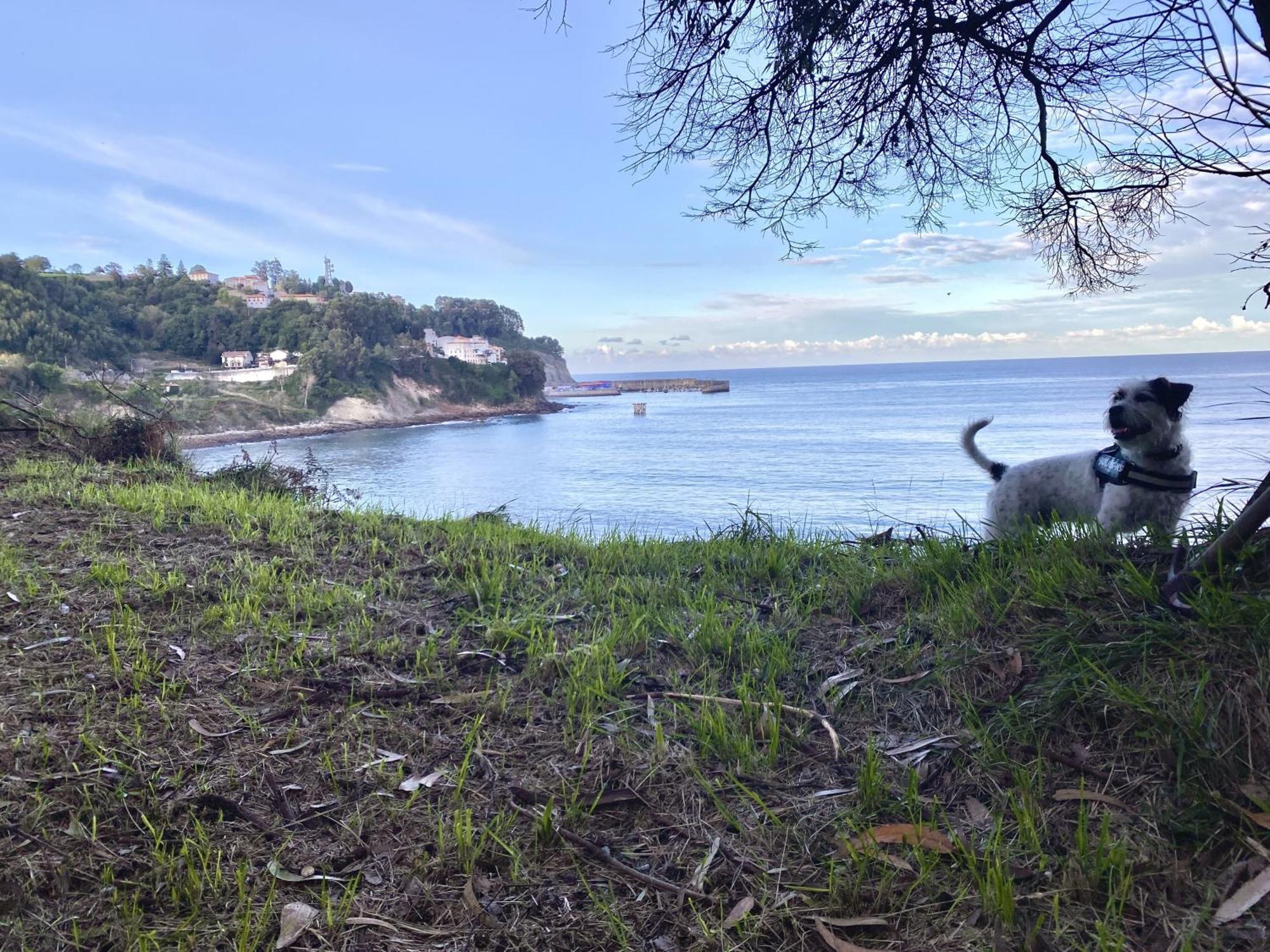 Respirando Salitre Apartamento En Lastres Exteriör bild